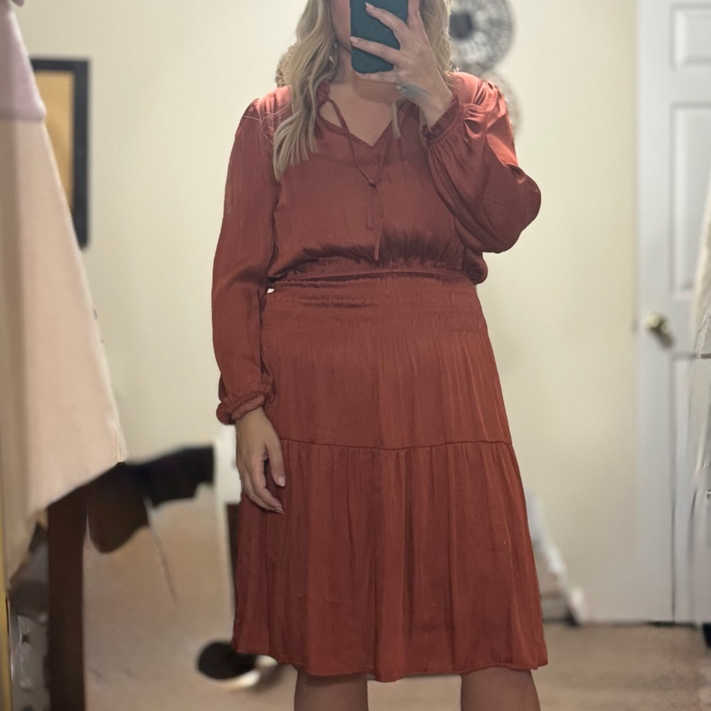 Silk Knee Length Long Sleeved Dress in rust - Picture 1 of 6